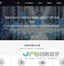 上海群蚁信息科技有限公司